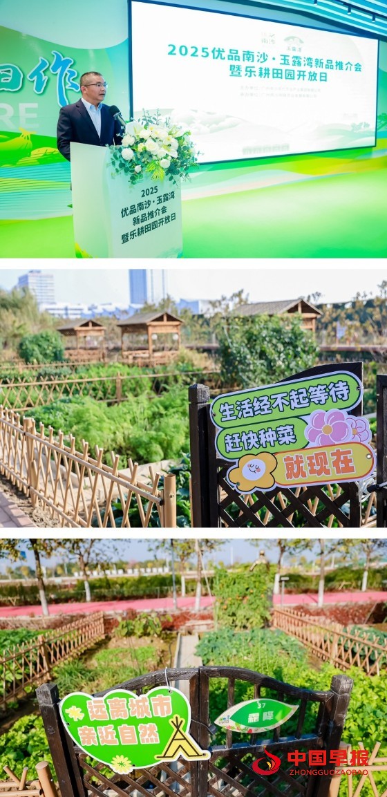1735631468210361.jpg 1_副本.jpg
