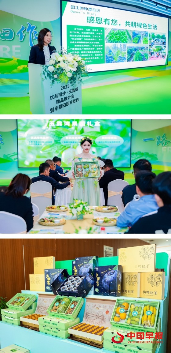 1735631488211379.jpg 3_副本.jpg