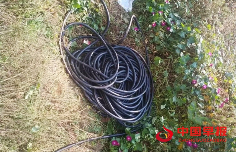 1736209493434267.jpg 640 (1)_副本.jpg