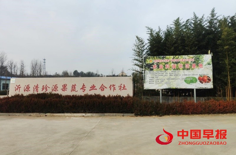 1737469675195713.jpg 6_副本.jpg