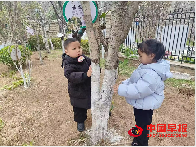 1741771204971913.png 1.png