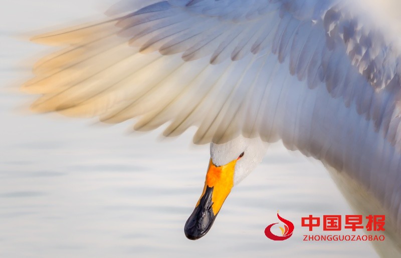 1742030572819192.jpg 微信图片_20250315171009_副本.jpg