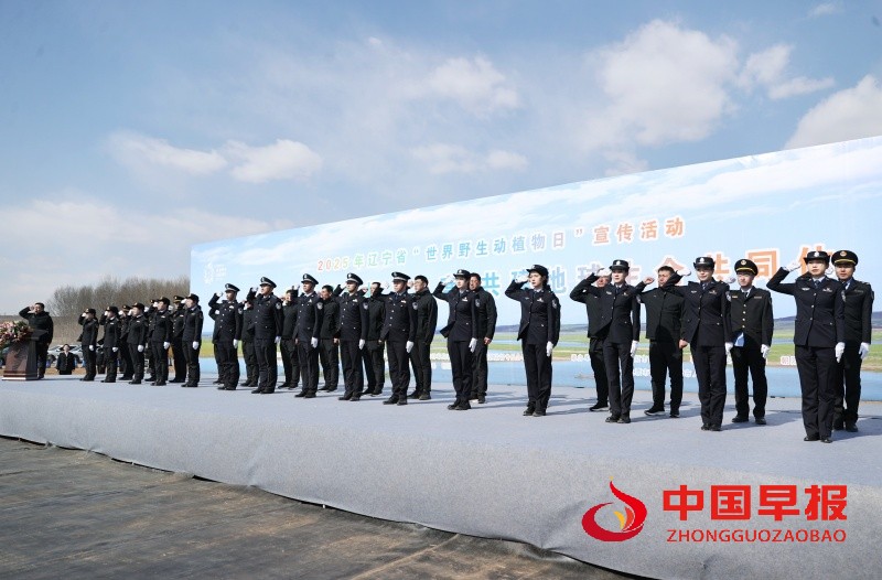 1742125232147178.jpg 微信图片_20250316193148_副本.jpg