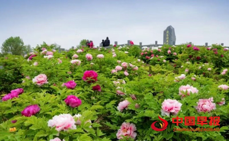 1742131024119380.jpg 微信图片_20250316210217_副本.jpg