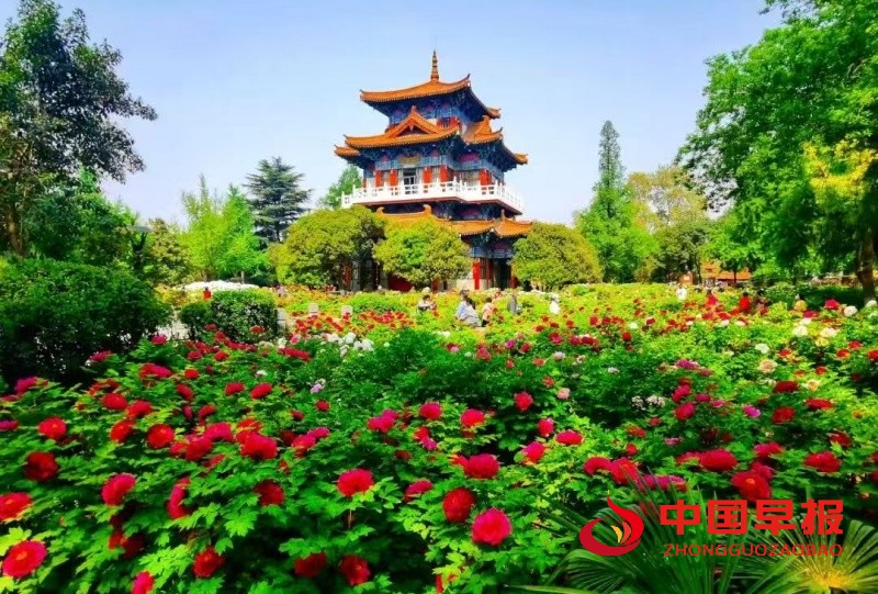1742131042148770.jpg 微信图片_20250316210219_副本.jpg
