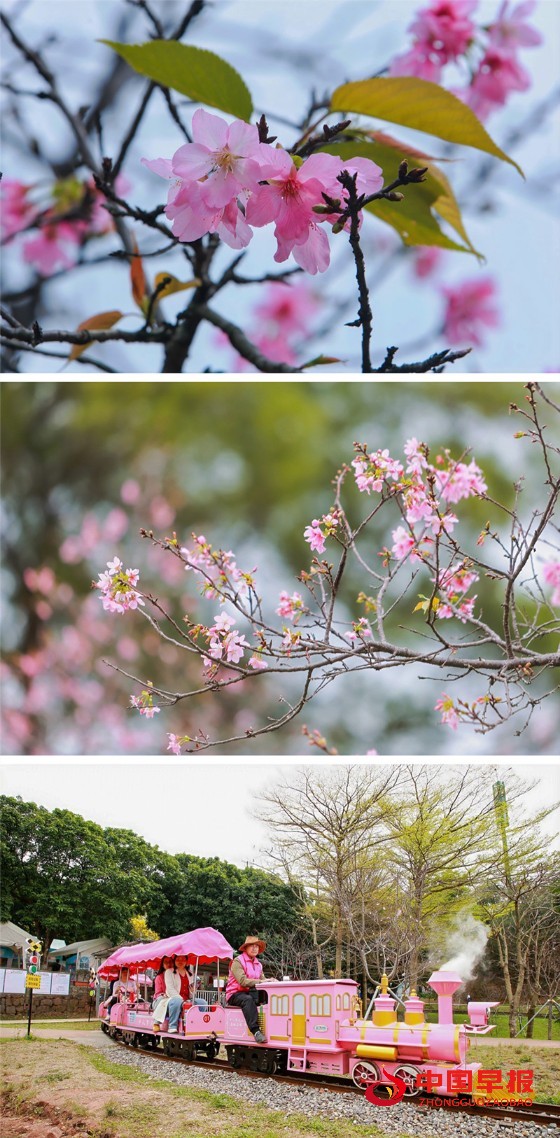 1742264845100354.jpg 微信图片_20250318100313_副本.jpg