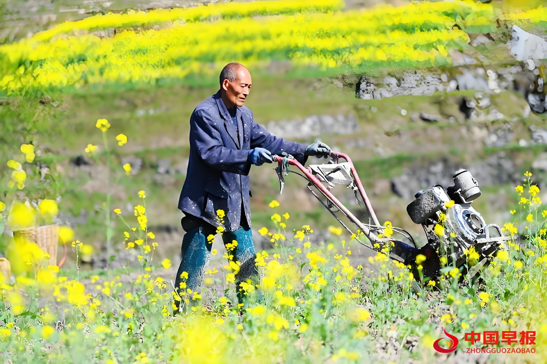 1742804638202979.jpg 图片010.jpg