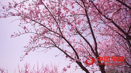 1743049526541677.jpg 微信图片_20250327122002.jpg