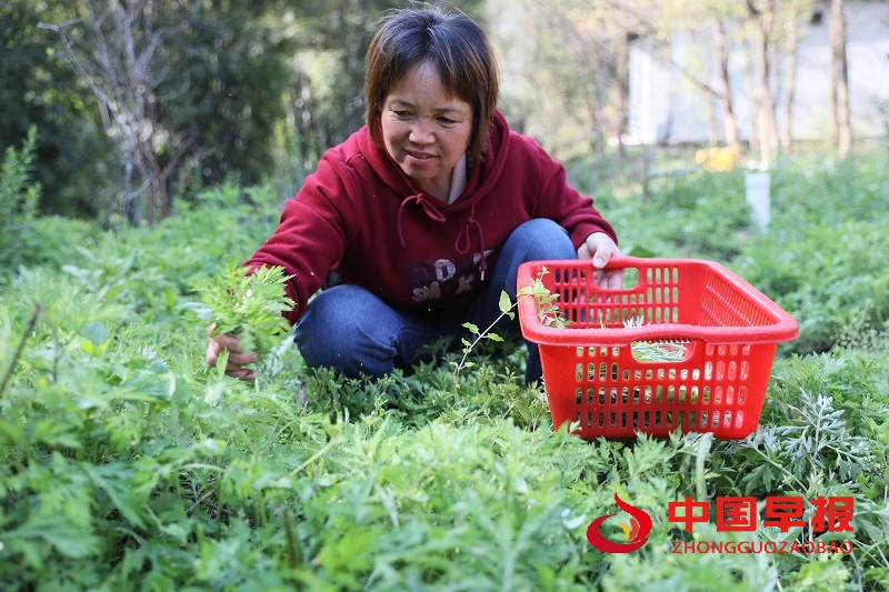 1743262145209617.jpg 微信图片_20250329232039.jpg