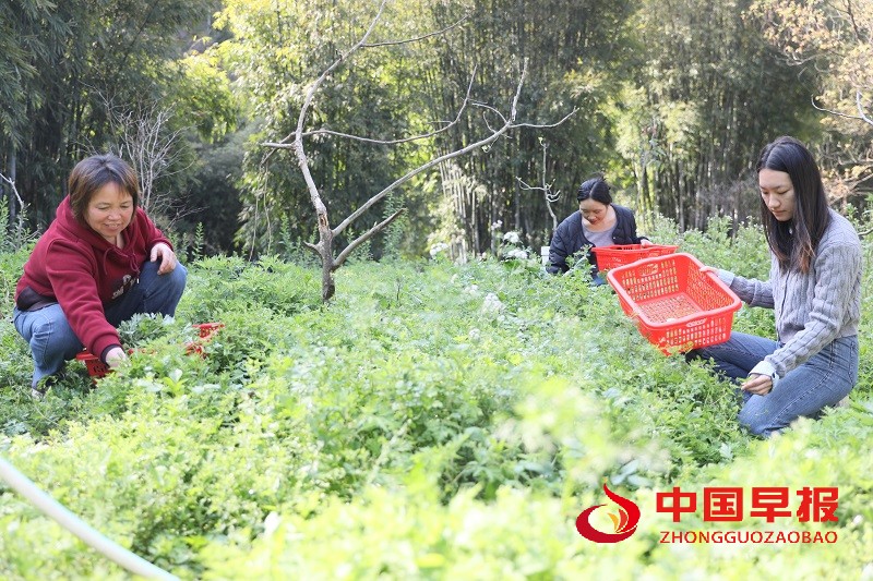 1743262157130805.jpg 微信图片_20250329232048.jpg