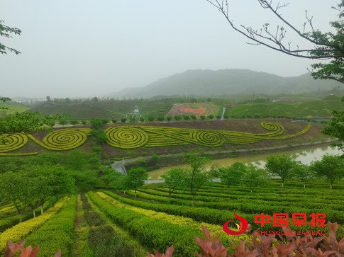 1744461727594130.jpg 2222.jpg