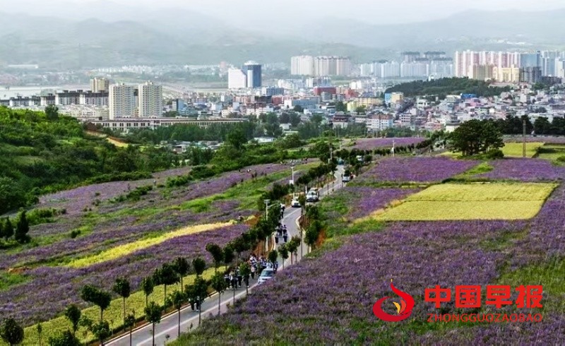 1745583336106150.jpg 微信图片_20250425200338_副本.jpg