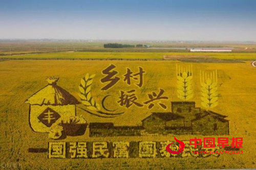 黑龙江省肇东市昌五镇四井村:乡村新能源 照亮振兴路(图5) 黑龙江省肇东市昌五镇四井村:乡村新能源 照亮振兴路(图5)