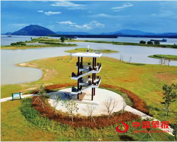 1752902250143602.png 8.png