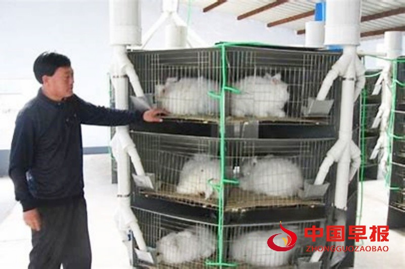 1757044772145438.jpg 1_副本.jpg