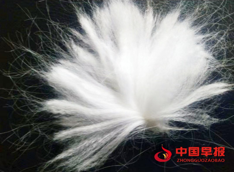 1757044782745218.jpg 2_副本.jpg