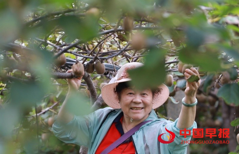 1758938237181178.jpg 1_副本.jpg