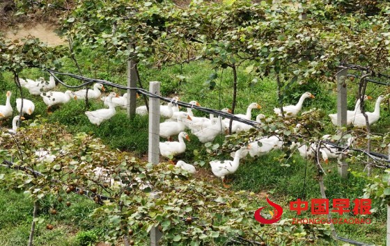 1758938271152923.jpg 5_副本.jpg