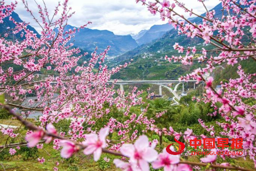 种花让生活更美好(图2)