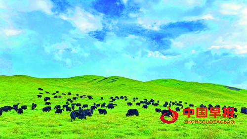 青海海东商贸发展跑出“加速度”  商贸经济交出亮眼答卷(图5)