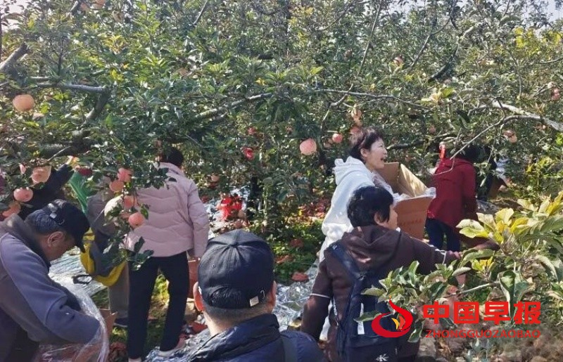 640 (1)_副本_副本.jpg