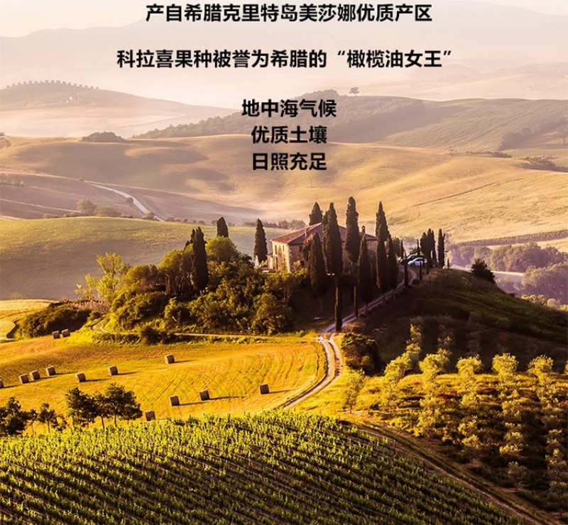 1792541934203259.jpg 3_副本.jpg